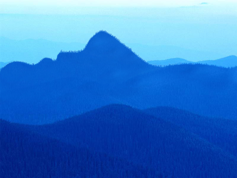 Photoshop Design by A1A1L1O1A1A1M2 for DesignCrowd (Community Contests) | Design #9050342