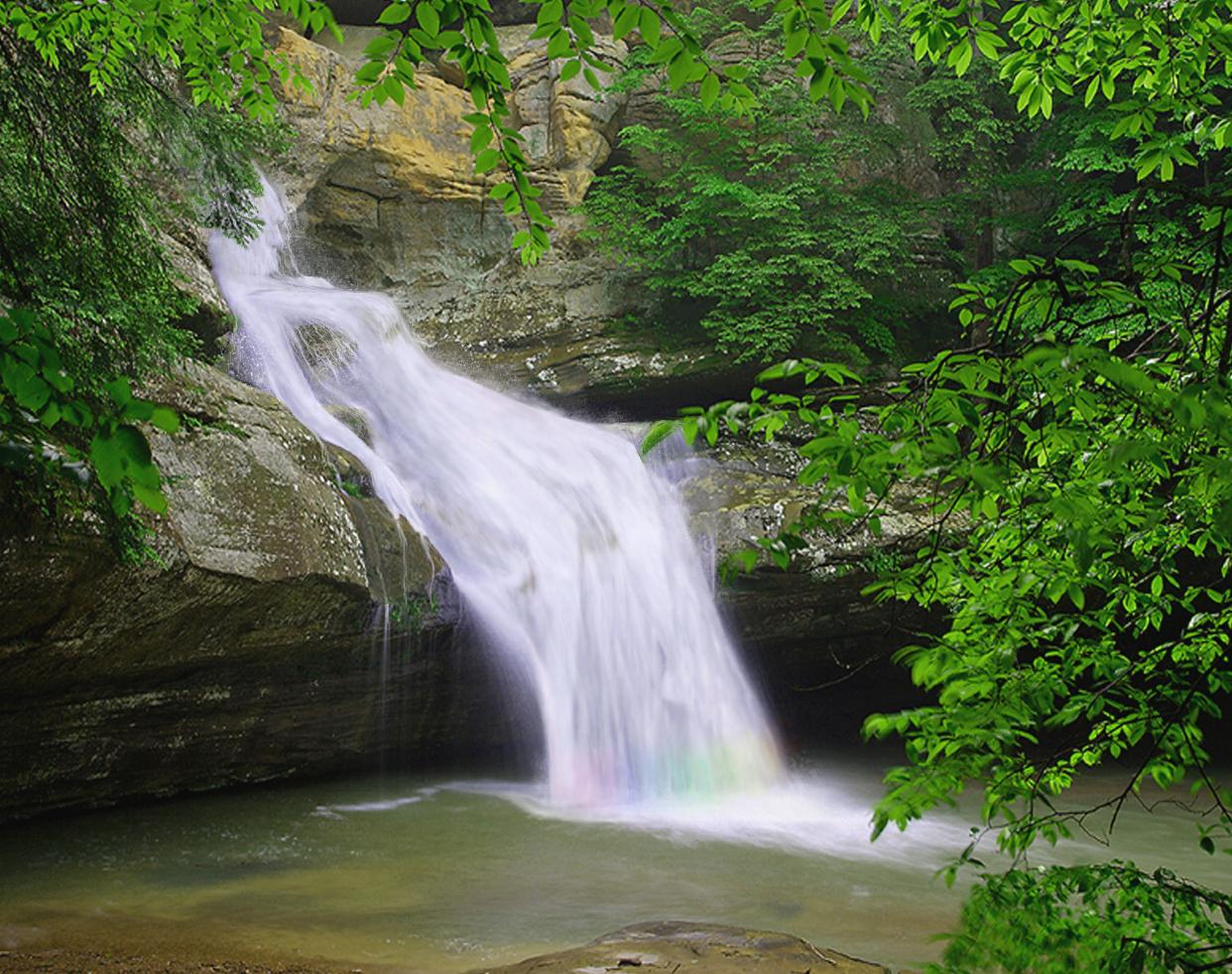 Diseño de Photoshop por sugarcane para DesignCrowd (Community Contests) | Diseño #9050372