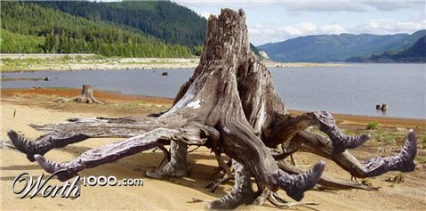 Photoshop Design by EyEars