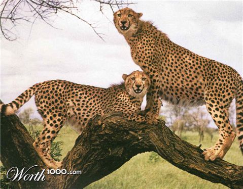 Photoshop Design by tehjoker