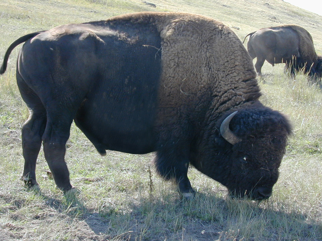 Diseño de Photoshop por justinjam para DesignCrowd (Community Contests) | Diseño #9062724