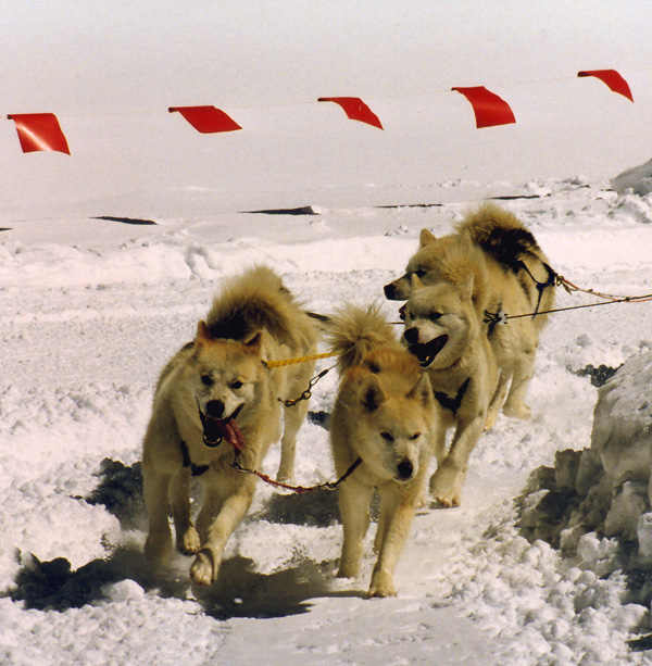 Fotografie von kimbomac für DesignCrowd (Community Contests) | Design #9054099