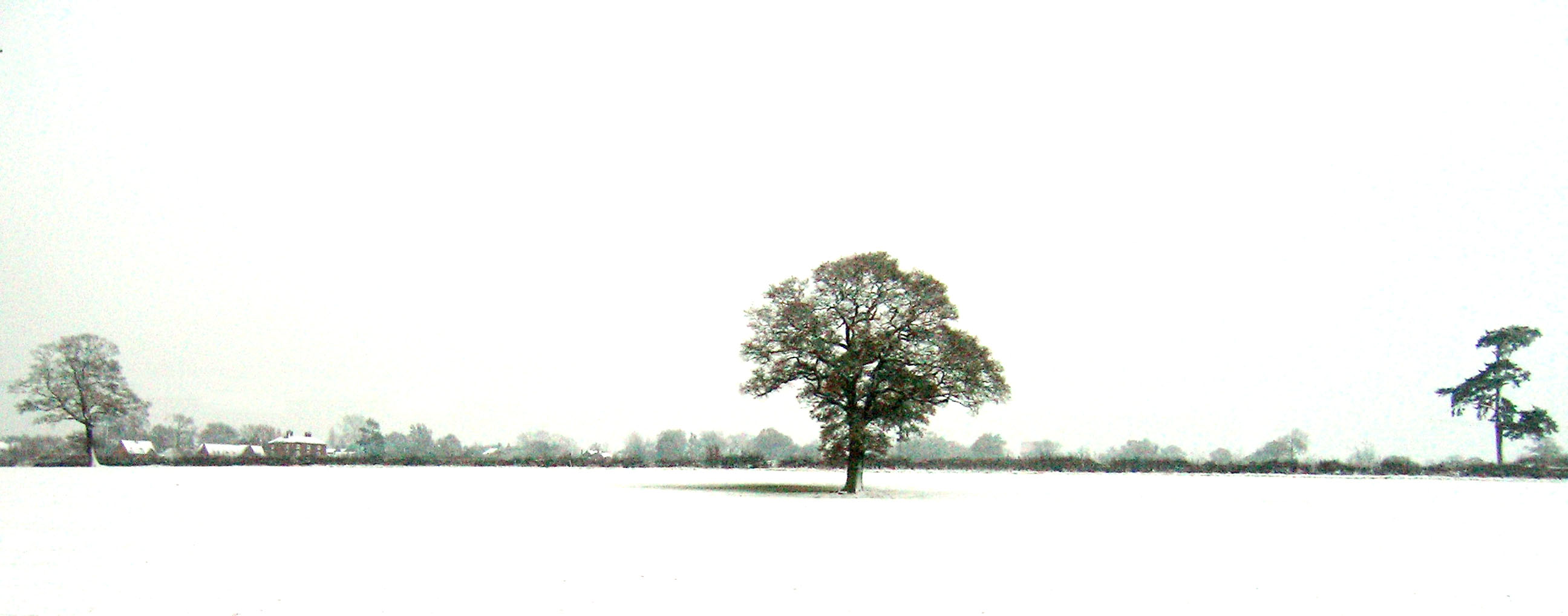 Photography by agachi for DesignCrowd (Community Contests) | Design #9062457