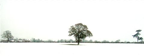 Photography by agachi