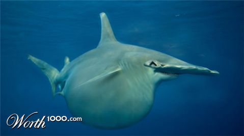 Photoshop Design by eclipsis