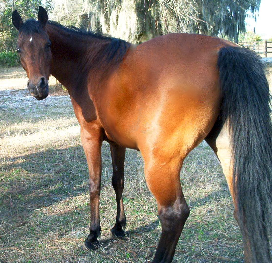 Photoshop Design by Larah McElroy for DesignCrowd (Community Contests) | Design #9062744