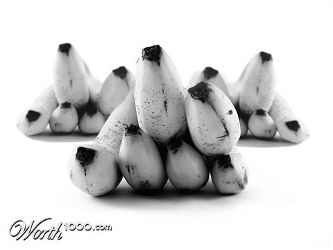 Photography by CSC10000