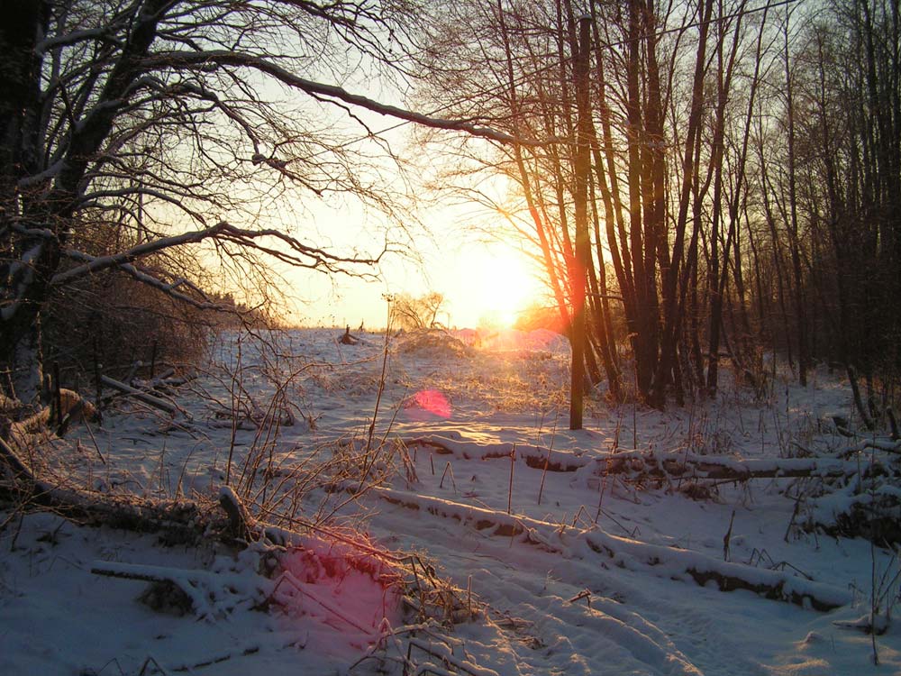 Photography by vampyreex for DesignCrowd (Community Contests) | Design #9062435