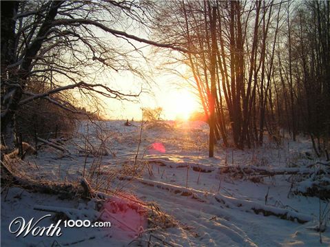 Photography by vampyreex