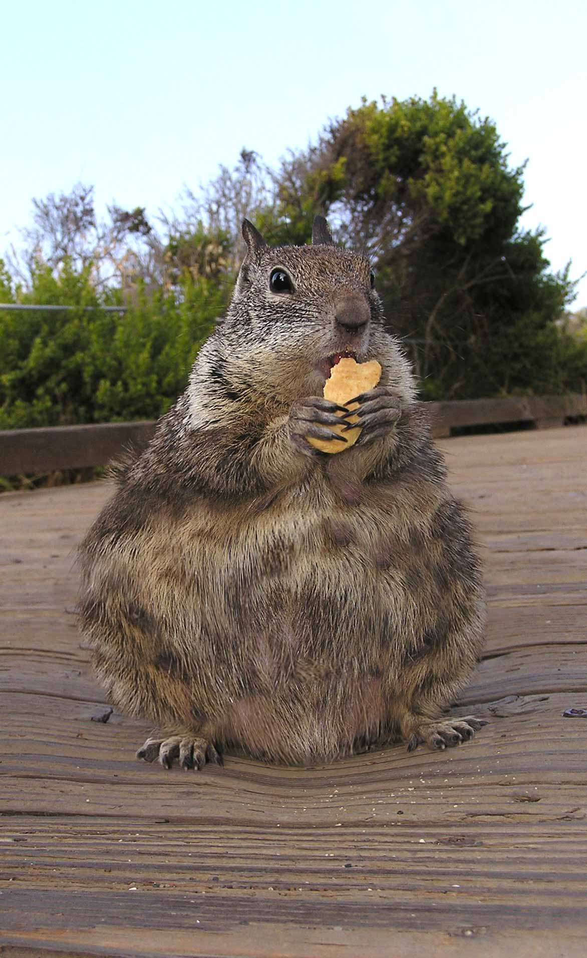 Photoshop Design by jodyberry for DesignCrowd (Community Contests) | Design #9062749