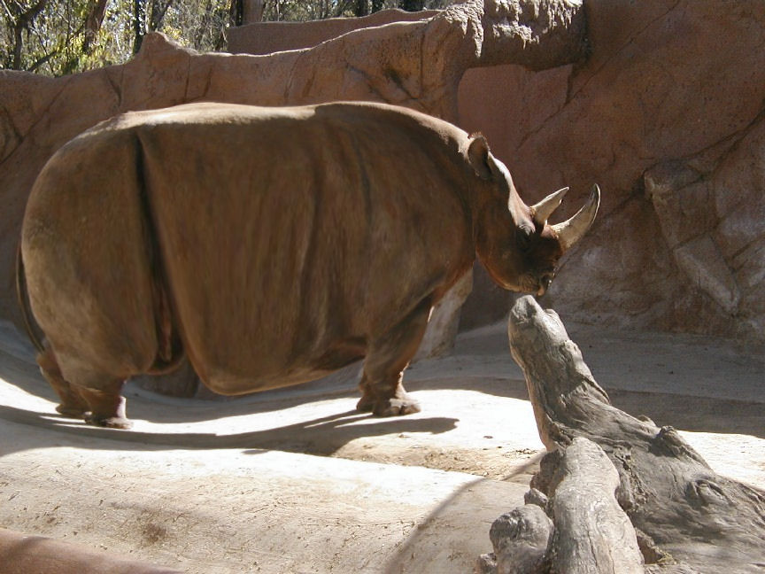 Photoshop Design by EddyDever for DesignCrowd (Community Contests) | Design #9062860