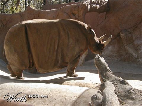 Photoshop Design by EddyDever