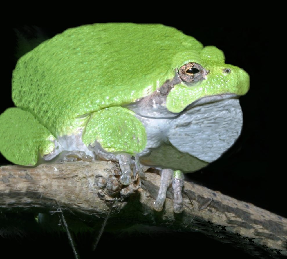 Photoshop Design by JClark8220 for DesignCrowd (Community Contests) | Design #9062832