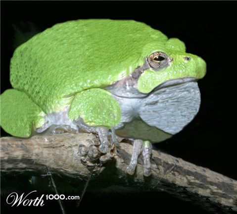 Photoshop Design by JClark8220