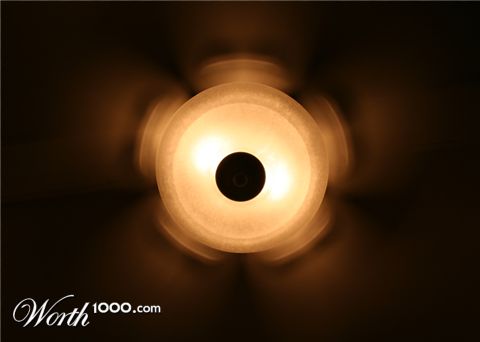 Photography by lilhorseebabee