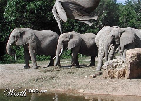 Photoshop Design by oOFnHOo