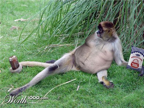 Photoshop Design by Matoogs