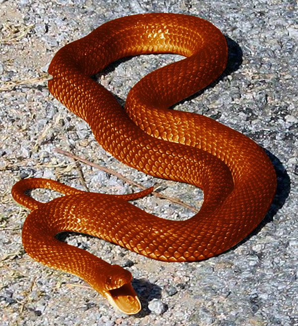 Photoshop Design by petino for DesignCrowd (Community Contests) | Design #9062162