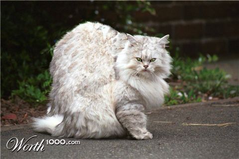 Photoshop Design by tehiro