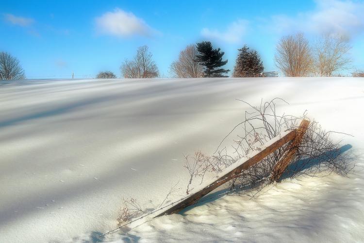 Photography by Kirsilouis for DesignCrowd (Community Contests) | Design #9062532