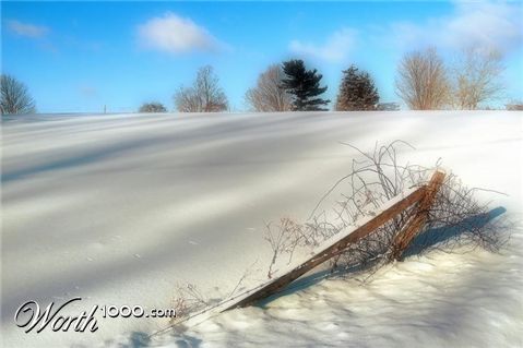 Photography by Kirsilouis