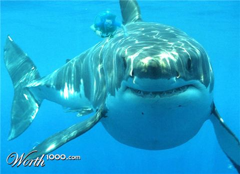 Photoshop Design by brunotelmo