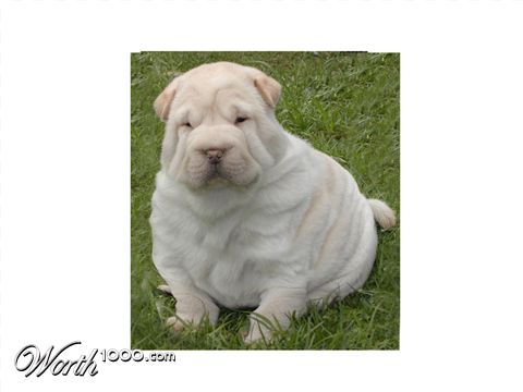 Photoshop Design by kyrgreece