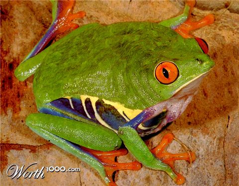 Photoshop Design by flaebehop