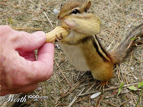 Photoshop Design by funky123