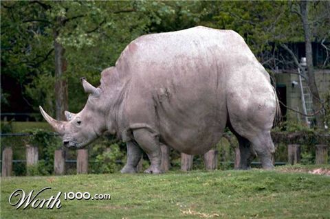 Photoshop Design by sloanyo