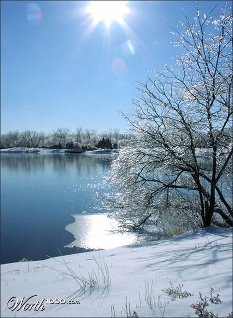 Photography by orrielflies