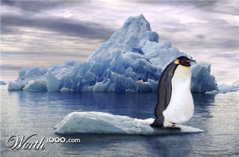 Photoshop Design by SeanaLyn