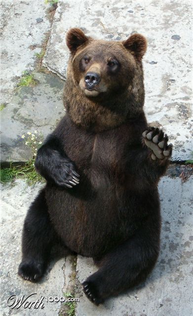 Photoshop Design by wellarmedsheep