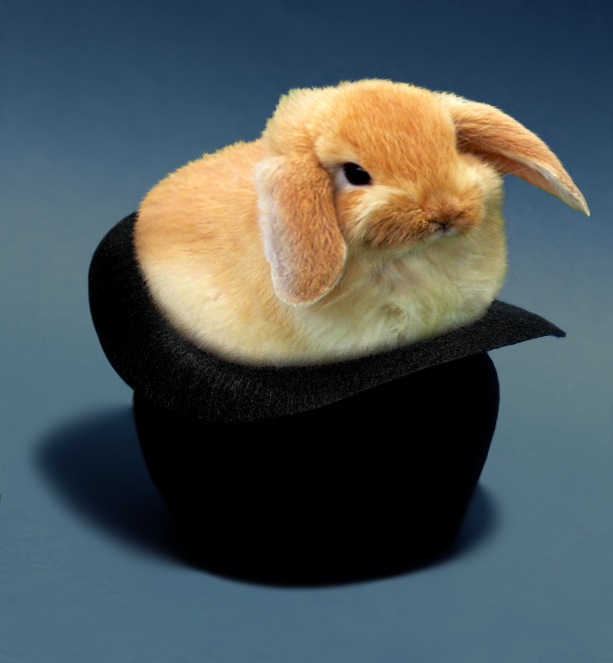 Photoshop Design by martysalgs for DesignCrowd (Community Contests) | Design #9063063