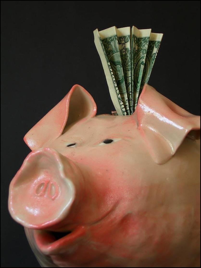 Fotografía por Isabella2006 para DesignCrowd (Community Contests) | Diseño #9063863