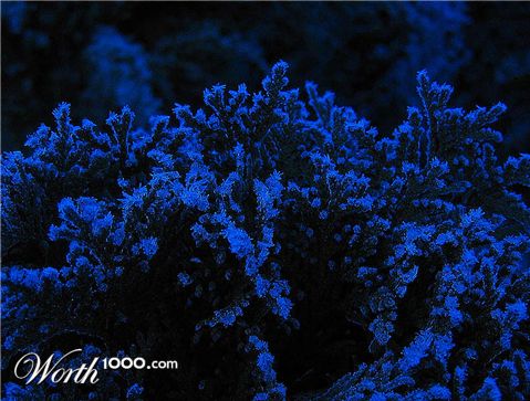 Photography by egonlinden