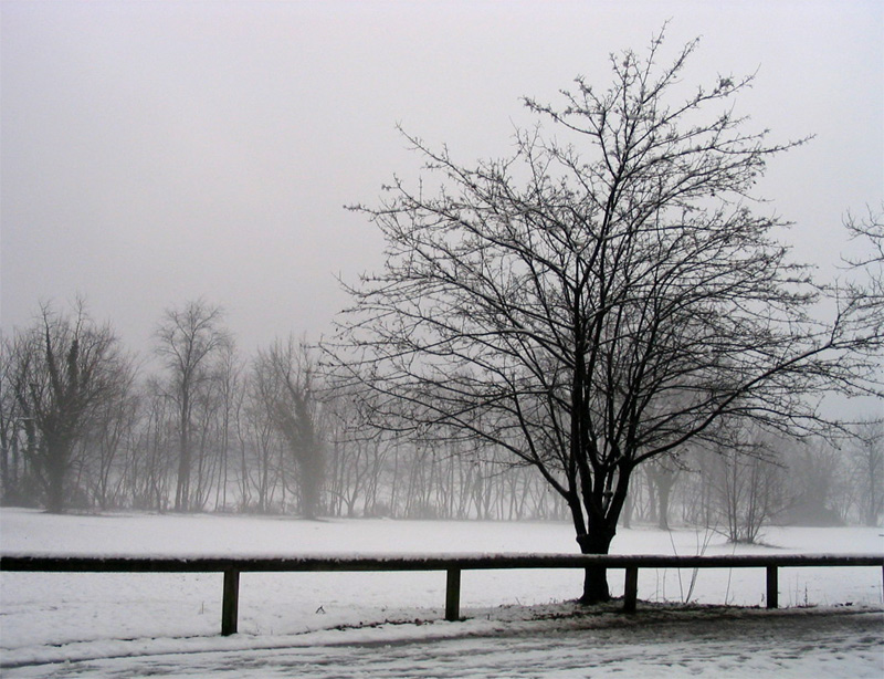 Photographie par Marthese pour DesignCrowd (Community Contests) | Design #9062502