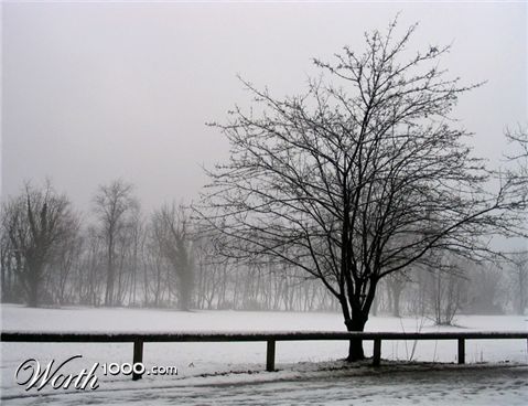 Photography by Marthese