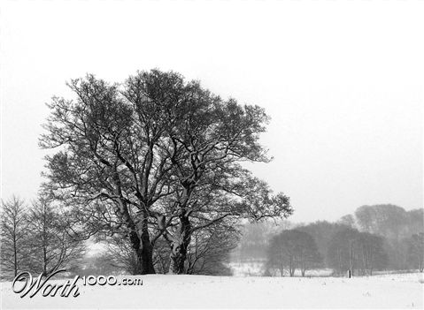Photography by Naitsab