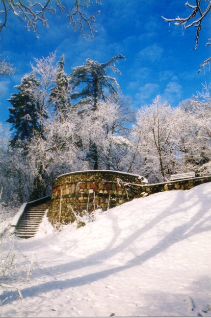 Photographie par itsmineillshare pour DesignCrowd (Community Contests) | Design #9062560