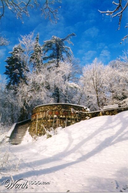 Photography by itsmineillshare