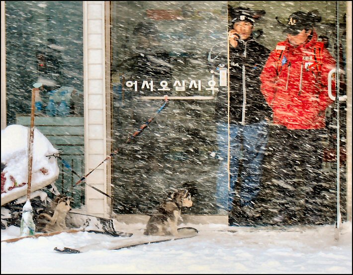 Photography by Juicer for DesignCrowd (Community Contests) | Design #9054090