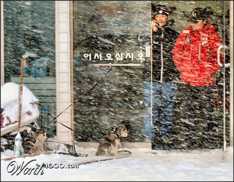 Photography by Juicer