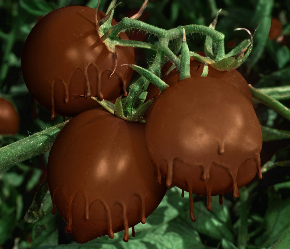 Photoshop Design by Fedorov for DesignCrowd (Community Contests) | Design #9062429