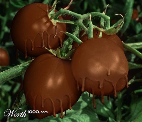 Photoshop Design by Fedorov