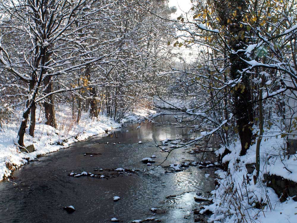 Fotografie von Nesehehame für DesignCrowd (Community Contests) | Design #9062473