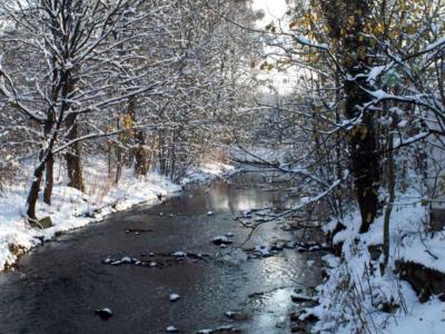 Photography by Nesehehame