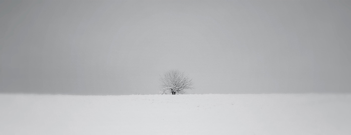 Fotografía por jodesign para DesignCrowd (Community Contests) | Diseño #9062483