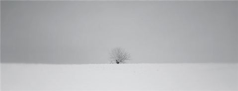 Photography by jodesign