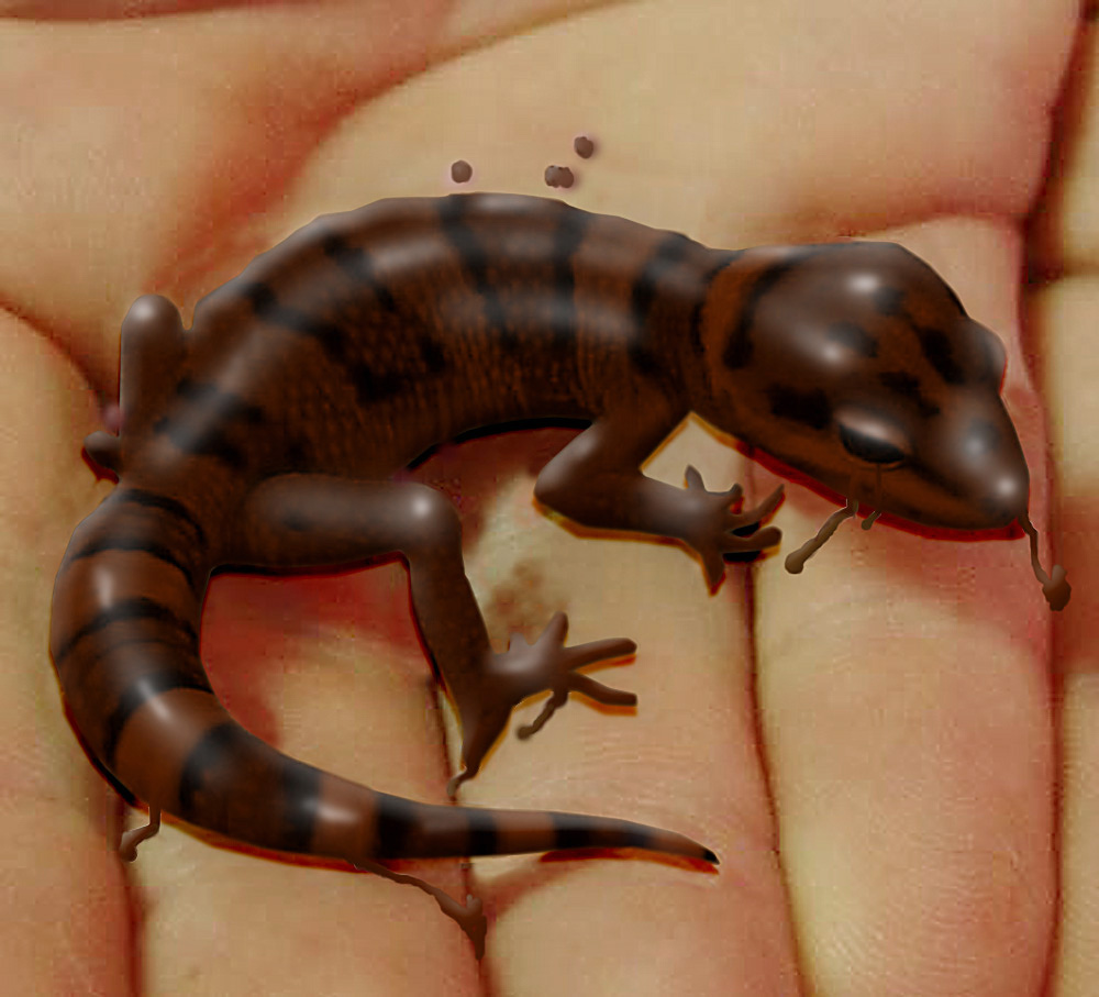 Photoshop Design by EyEars for DesignCrowd (Community Contests) | Design #9062470